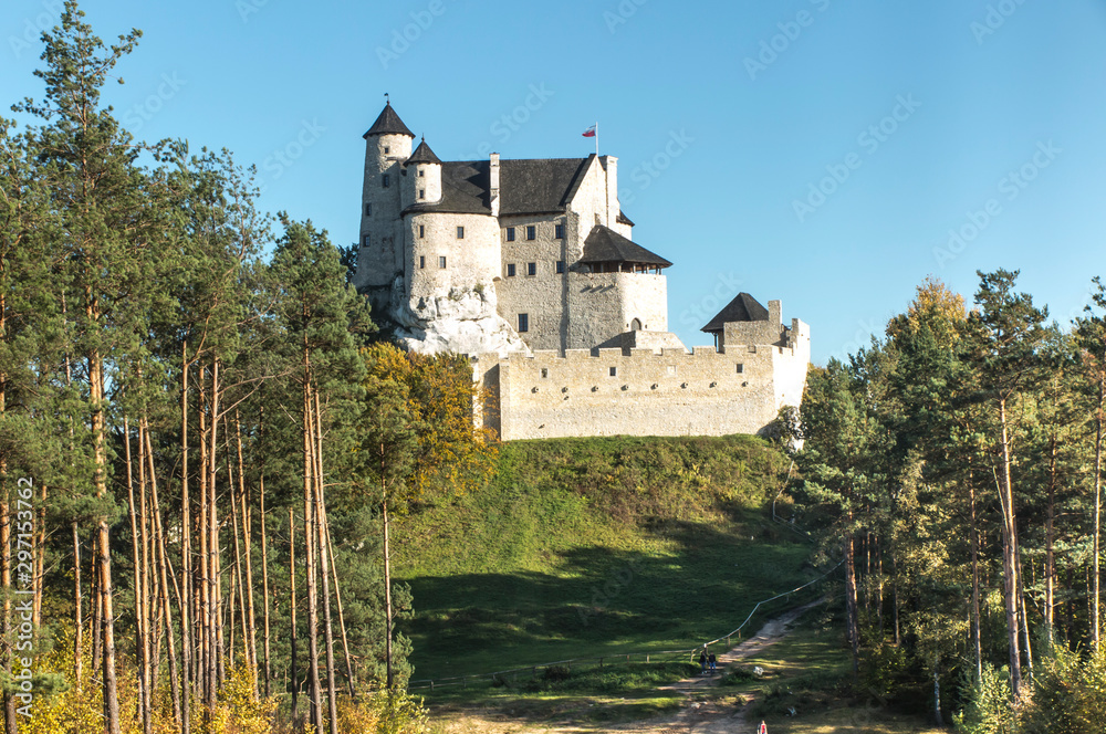 View on medieval castle in Bobolice