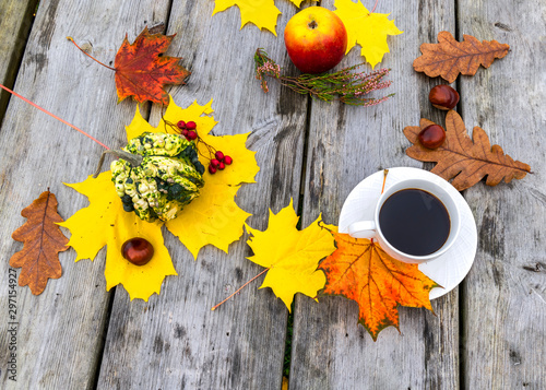 maple and oak leaves, decorative pumpkin and cup of black coffee on backgroun...