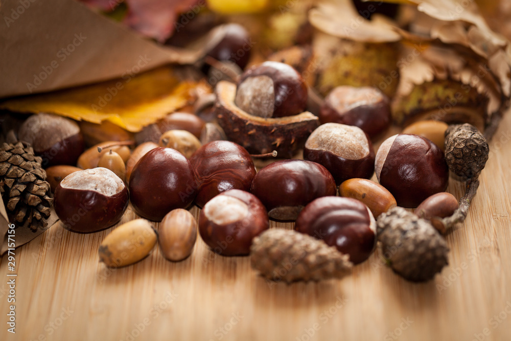 Autumn harvest on wooden background. Autumn harvest on wooden background.