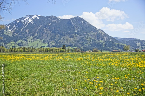 Allgäuer Landschaft