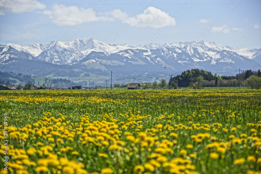 Allgäuer Landschaft