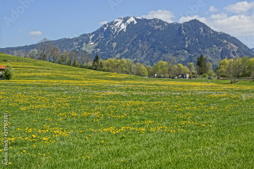 Allgäuer Landschaft