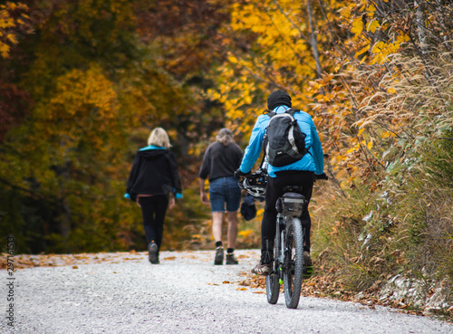 E - Mountainbiker vor unscharfen Wanderern im herbstlichen Wald