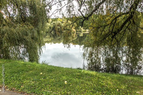 A fragment of nature in the Silesian Park in Chorzow