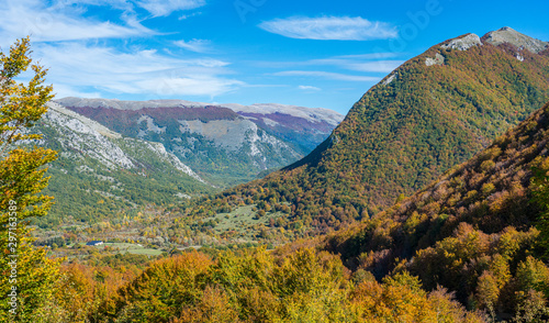 Foliage in autumn season at Forca d'Acero, in the Abruzzo and Molise National Park. Italy.