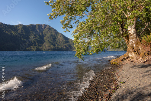 Lake Crescent, deep lake located entirely within Olympic National Park - view from Olympic National Park Highway. Sunny day, blue water, panoramic view. Clallam County, Washington, United States.