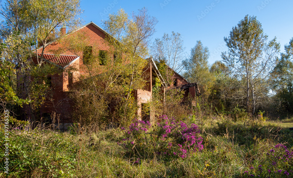 Unfinished brick country house. Abandoned cottage village overgrown with trees.