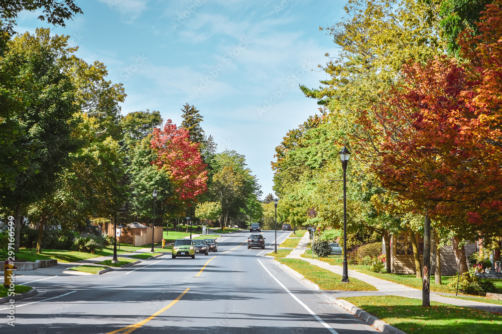 Road through trees with autumnal colors on a sunny autumn day. Gananoque, Canada. Road through trees with autumnal colors on a sunny autumn day. Gananoque, Canada.