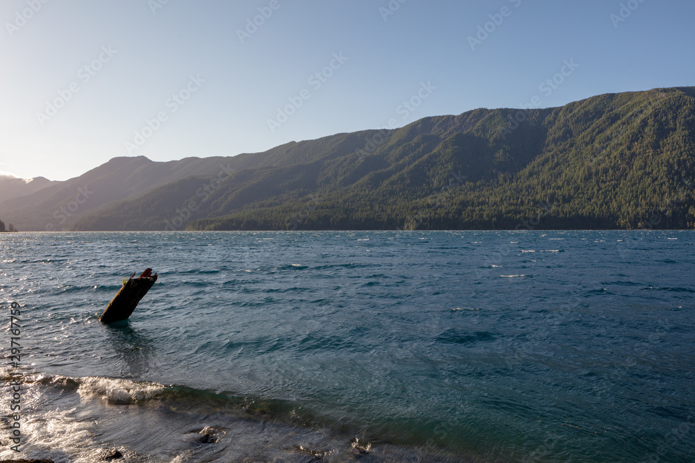 Obraz premium Lake Crescent, deep lake located entirely within Olympic National Park - view from Olympic National Park Highway. Sunny day, blue water, panoramic view. Clallam County, Washington, United States.