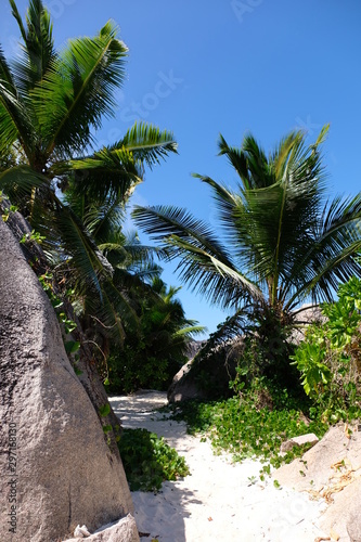 Fototapeta Naklejka Na Ścianę i Meble -  Paradise beach on the seychelles