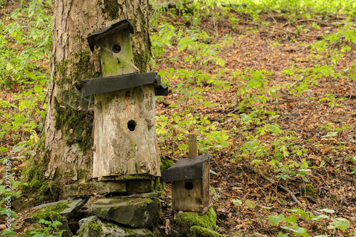 Nistkasten oder Vogelhaus für einheimische Vögel zum Schutz der Jungtiere und Eier