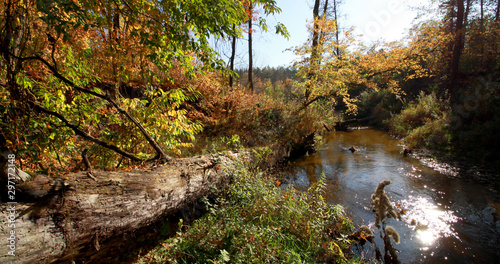 Obraz na płótnie Autumn landscape with river and forest, Mienia river nature reserve, Mazovia, Poland w salonie