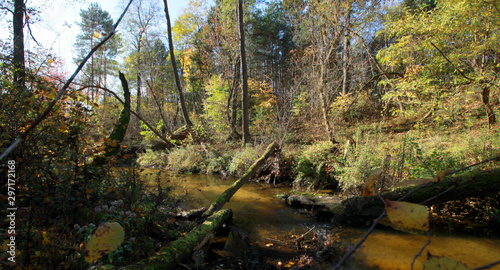 Obraz na płótnie Autumn landscape with river and forest, Mienia river nature reserve, Mazovia, Poland w salonie