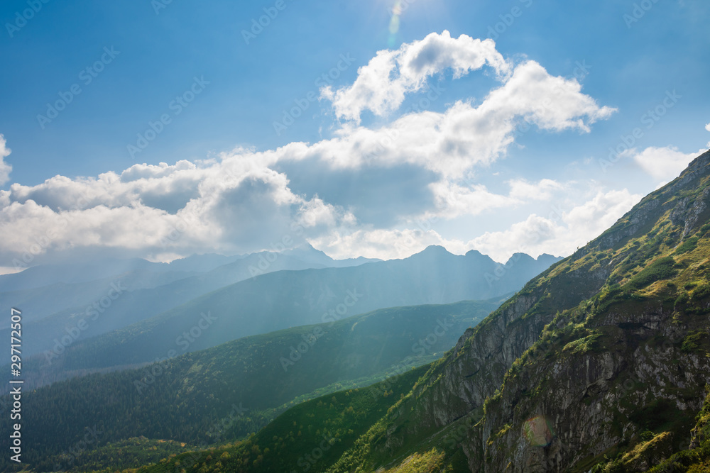 Polish Tatras during the summer day. Lots of mountain pine in the foreground. Copy space