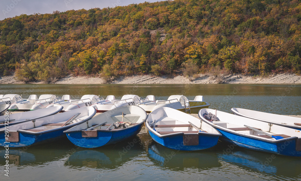 pier with boats on the lake