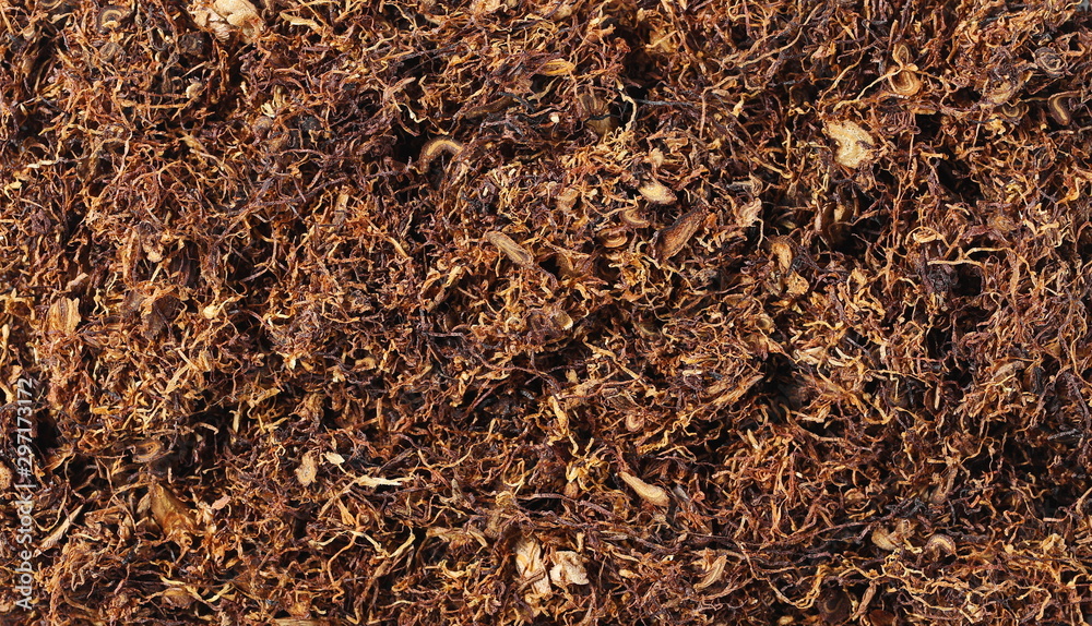 Tobacco background and texture Tobacco background and texture