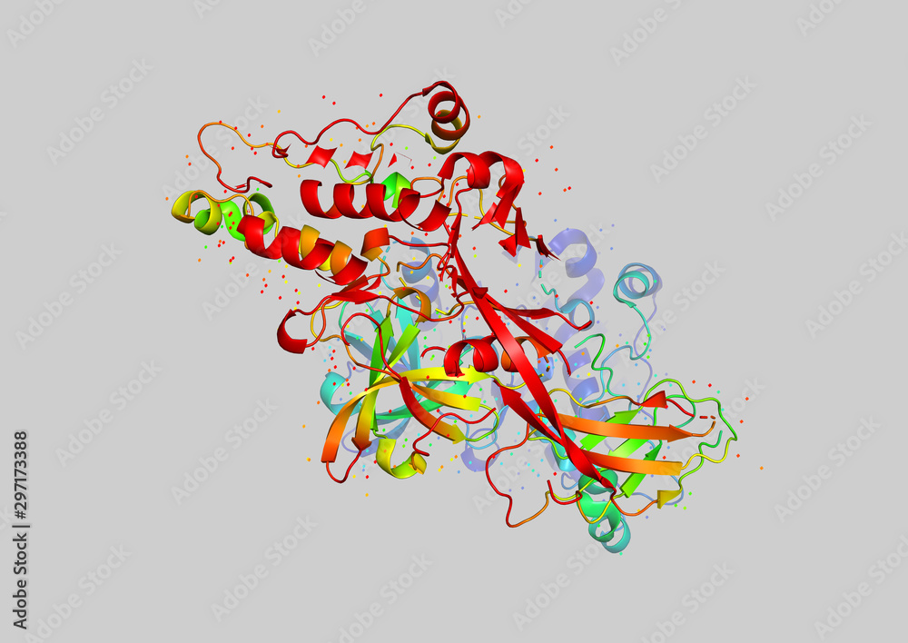 3D model of a protein molecule.