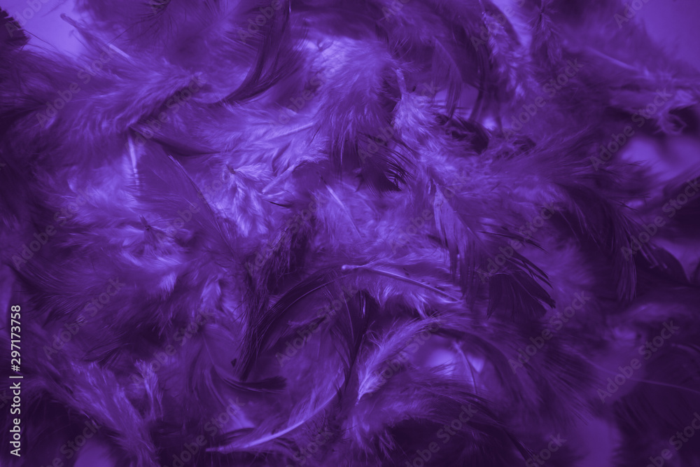 Purple Feathers Stock Photo - Download Image Now - Feather, Purple,  Textured - iStock