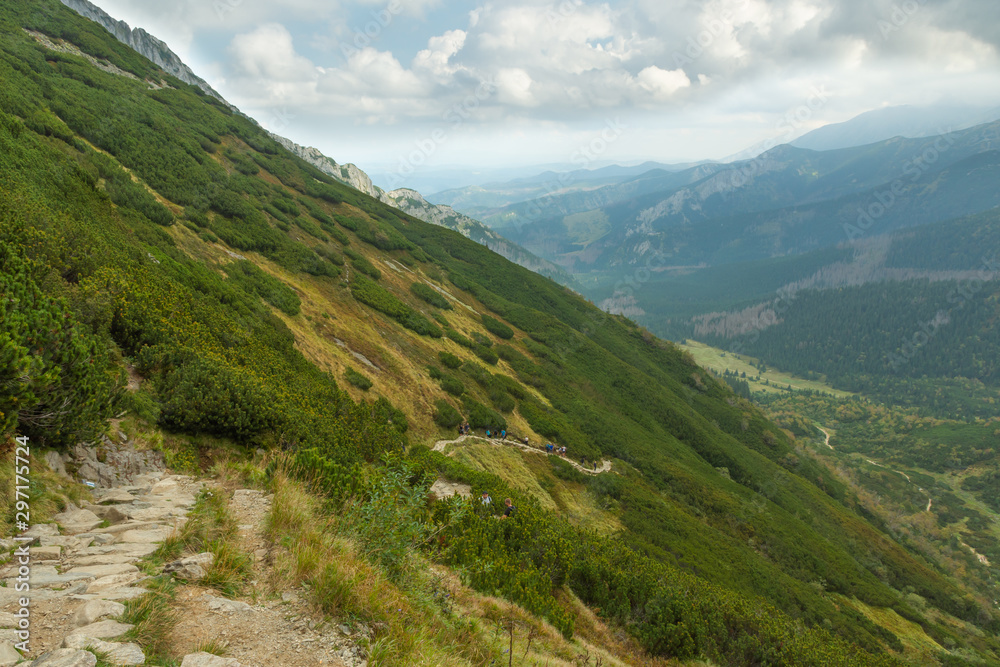 Obraz premium Tatry mountains covered with beautiful forests and covered with thick fog and clouds