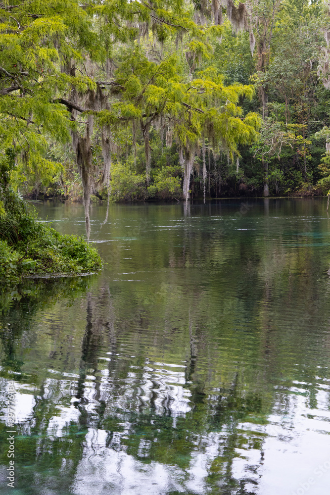 The Silver River in Silver Springs State Park, Florida The Silver River in Silver Springs State Park, Florida