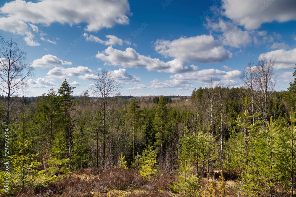 Finland - spring landscape, a view from a hill on the Karelian forest Finland - spring landscape, a view from a hill on the Karelian forest