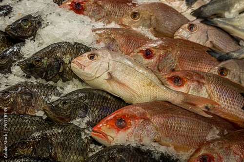 Looking down at a display of fish for sale on a market stall