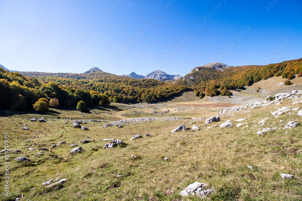 Abruzzo national park