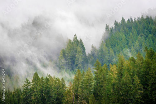 Rainforest Clouds in the Pacific Northwest. Clouds cascading down over the forest landscape on a beautiful autumn day in Washington state.