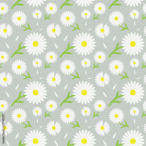 Fototapeta Naklejka Na Ścianę i Meble -  Beautiful daisy/chamomile floral pattern for fabric/textile print
