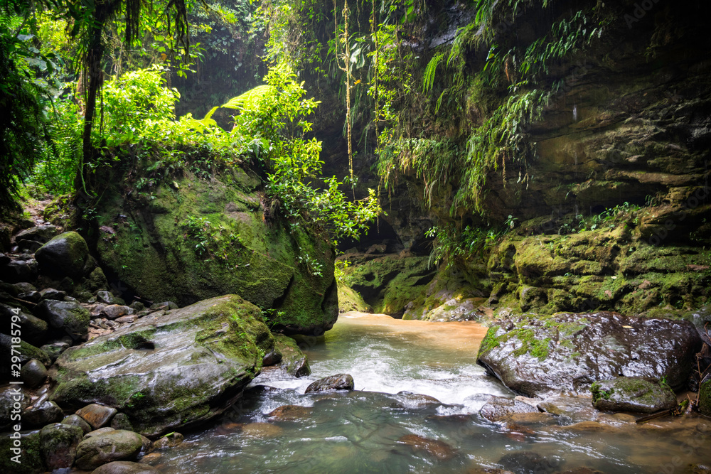 amazonian landscape surrounded by vegetation and large rocks