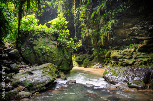 amazonian landscape surrounded by vegetation and large rocks