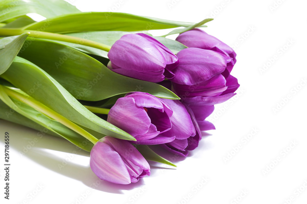 Naklejka premium Bouquet of violet tulips on white background close-up