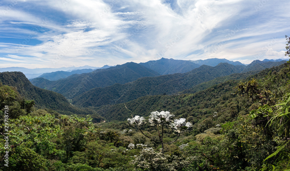 Amazing panoramic view of Bella Vista valley. You can see several mountains, hills, wild vegetation and the sky full of clouds. Mindo, Ecuador