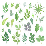 A set of different watercolor decorative leaves, hand drawn pattern