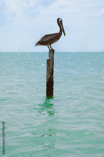 Holbox