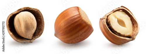 collection of hazelnuts in shell isolated on a white background photo