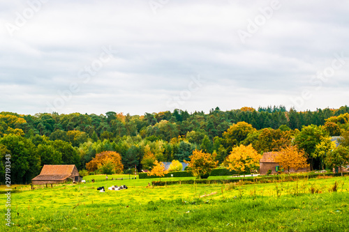 A Farm at the Wylerberg