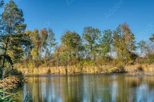 Obraz na płótnie lake in the forest in autumn w salonie
