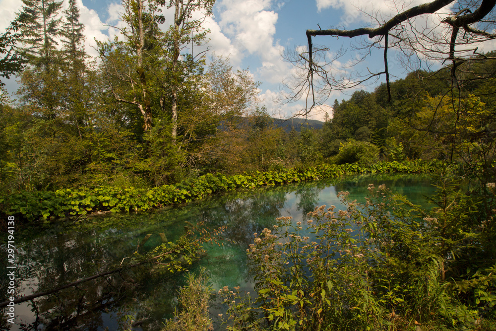 Obraz premium Plitvice Lakes National Park, Croatia.