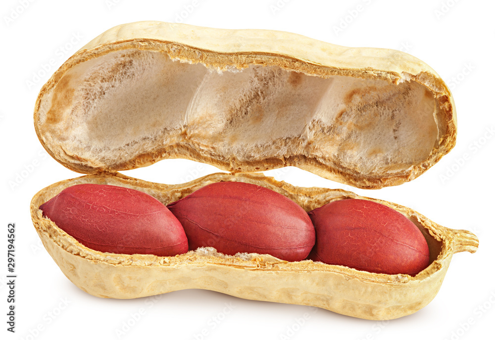 peanut isolated on white background, clipping path, full depth of field peanut isolated on white background, clipping path, full depth of field