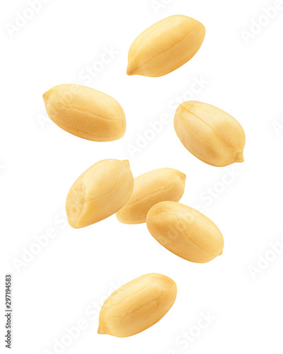Falling peanut isolated on white background, clipping path, full depth of field photo