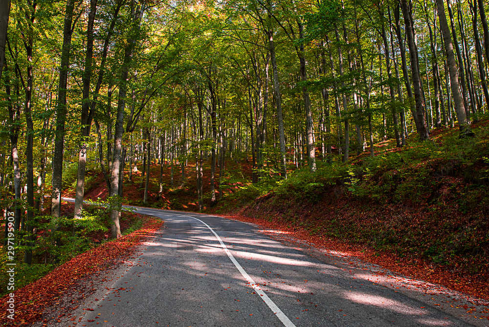 Obraz premium Winding road