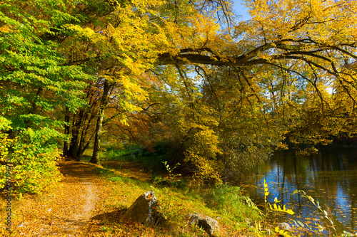 Colorful autumn Nature with old big Trees about River Sazava in Central Bohemia  Czech Republic