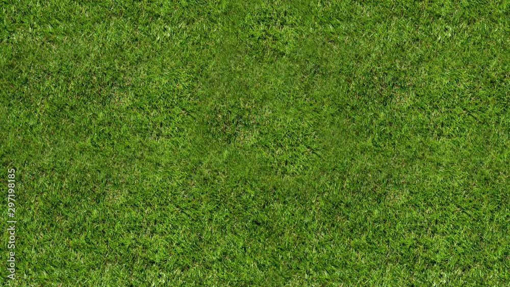 An aerial view flying slowly over lush green grass. An aerial view flying slowly over lush green grass.