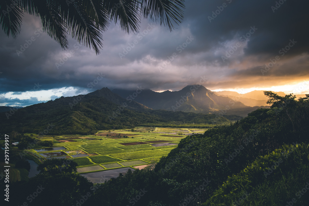 Hanalei Valley Kauai