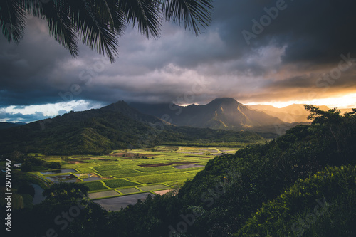 Obraz na płótnie Hanalei Valley Kauai w salonie