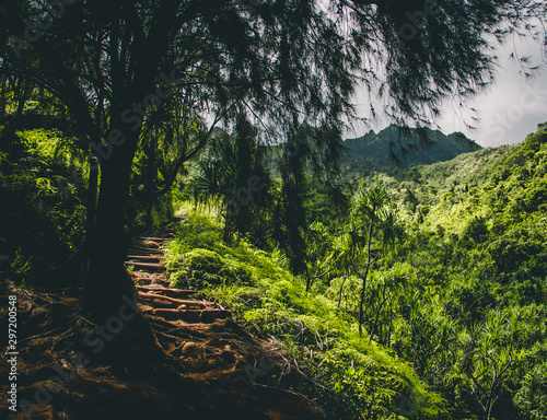 Obraz na płótnie Hawaii Kalalau Trail w salonie
