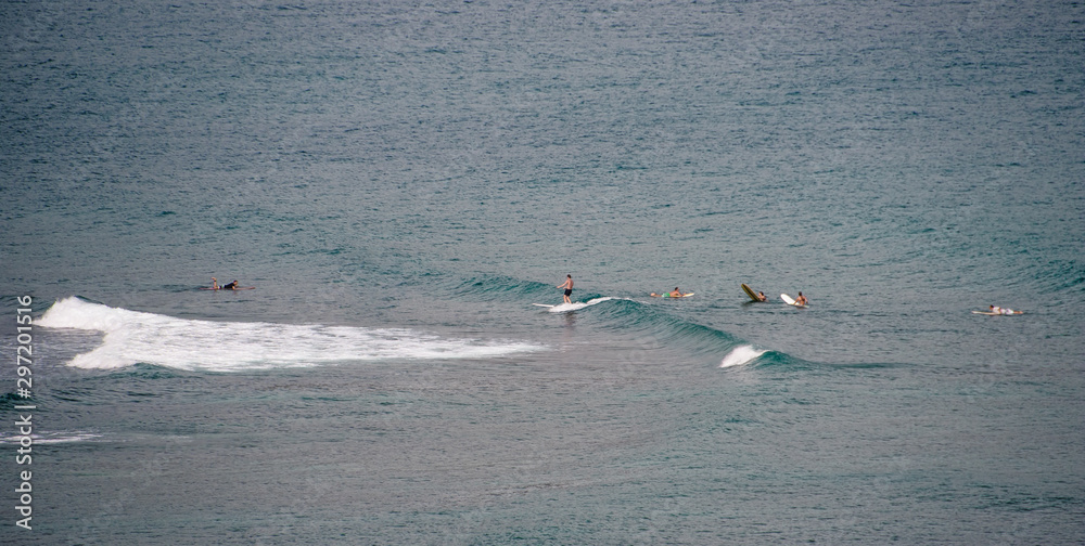 Hawaii Kauai Surfers