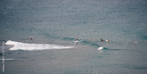 Obraz na płótnie Hawaii Kauai Surfers w salonie