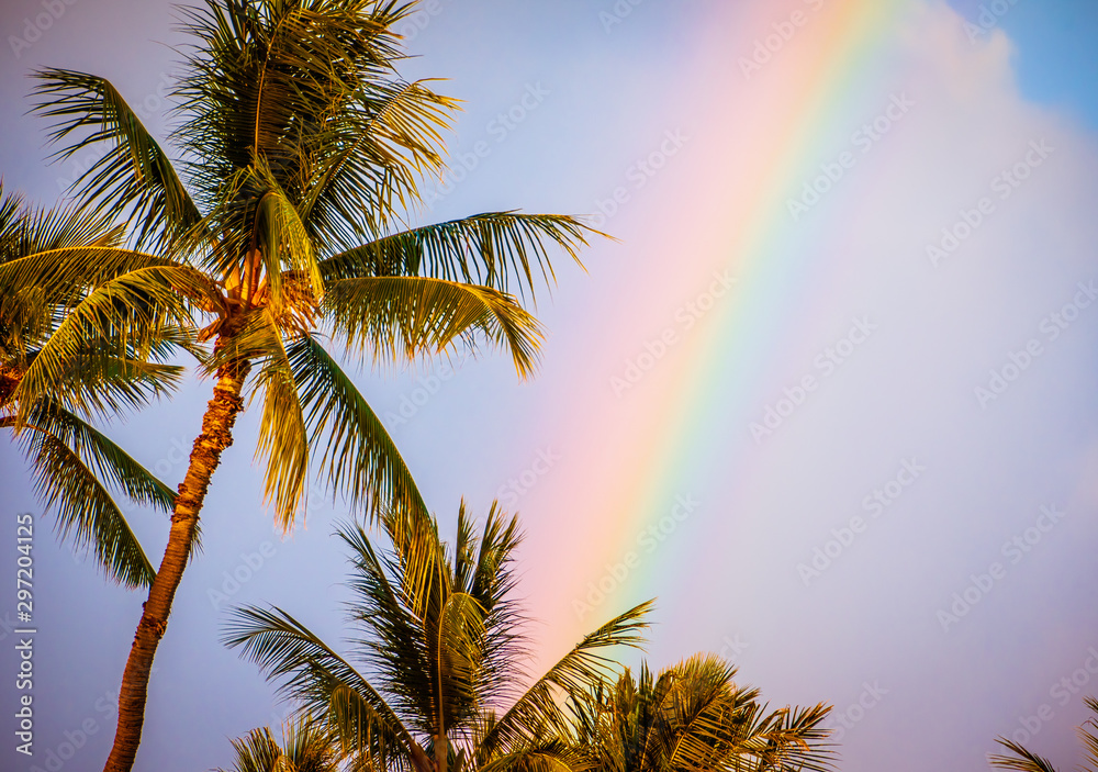 Hawaii Palm Tree Sunset